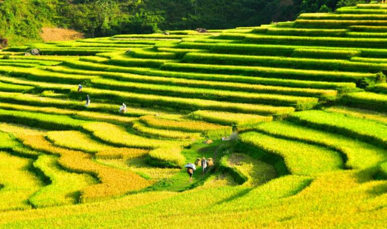 Rundreise nach vietnam