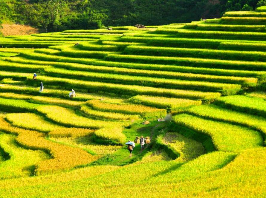 Rundreise nach vietnam