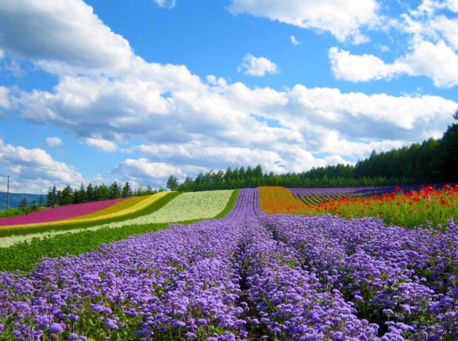 Dalat Vietnam