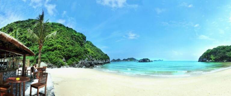cat-co-beach-cat-ba-1