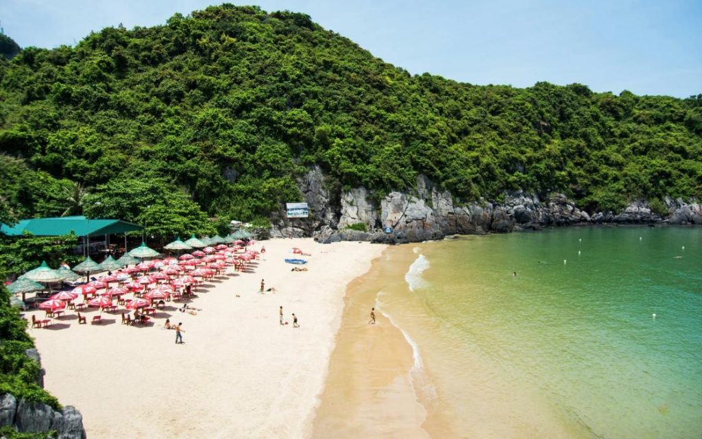 cat co beach