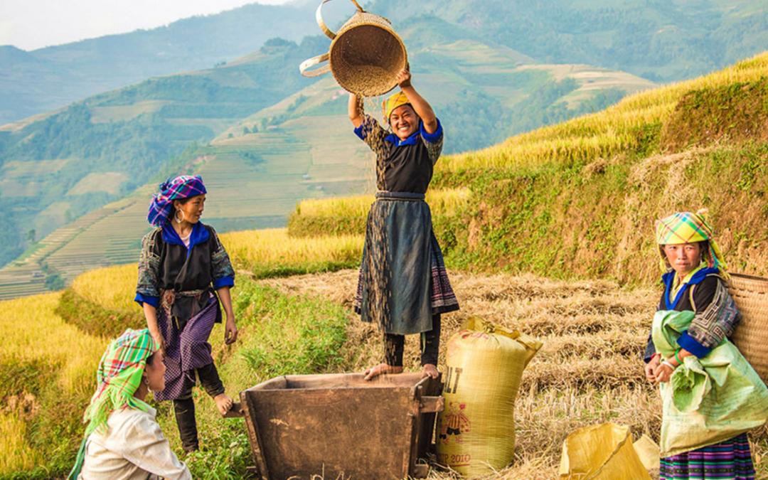 ha giang tour