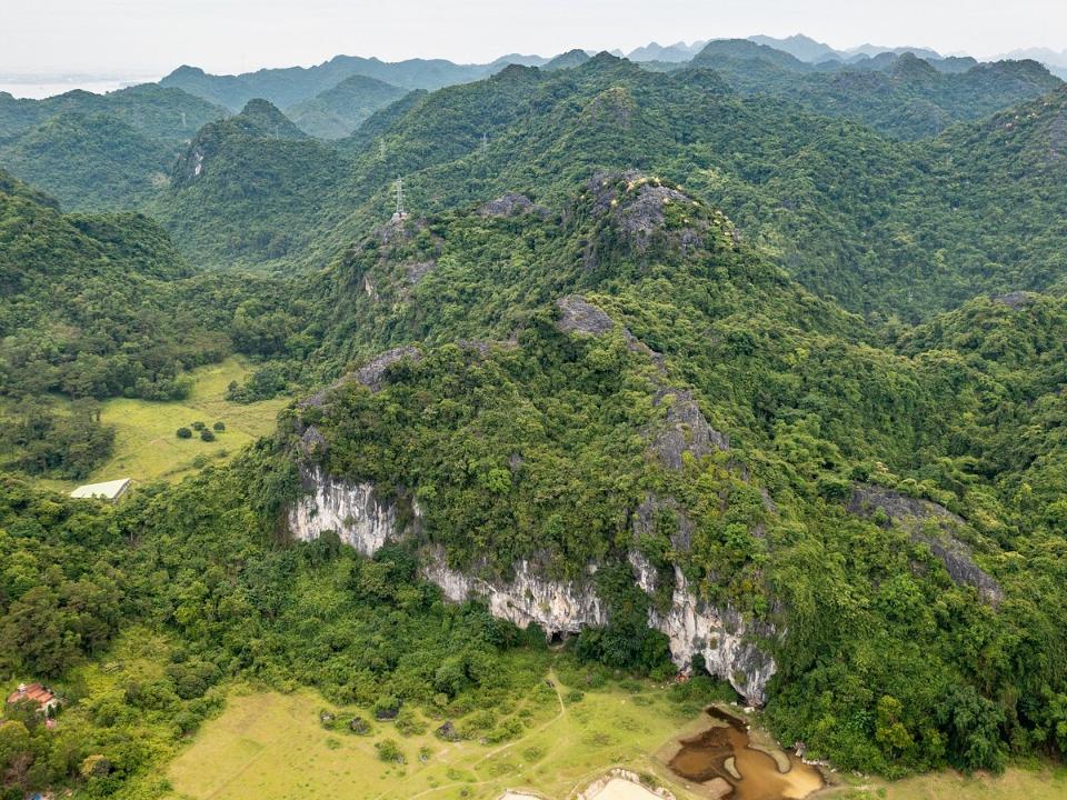 cat ba vietnam