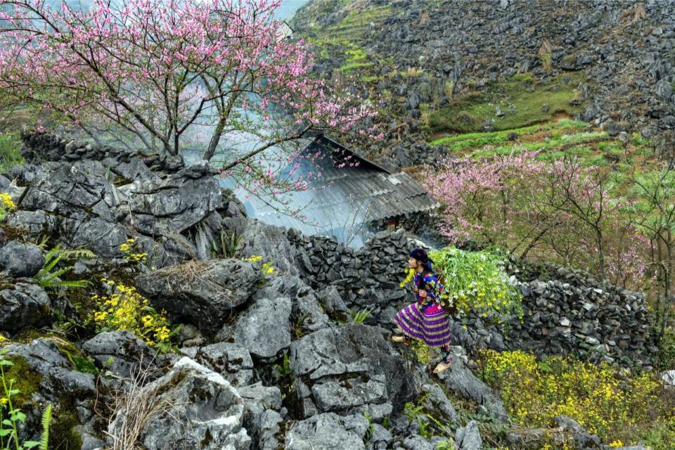 visit ha giang