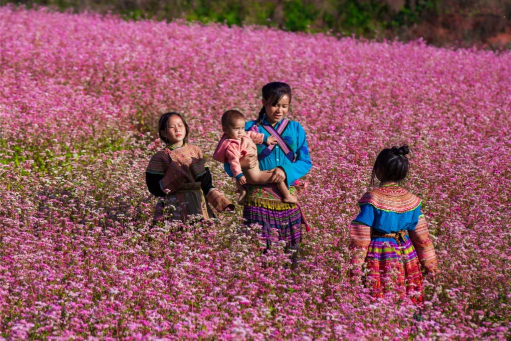 what to do in ha giang, ha giang loop, visit ha giang