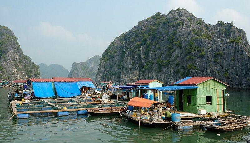 cai beo floating village, cat ba vietnam weather