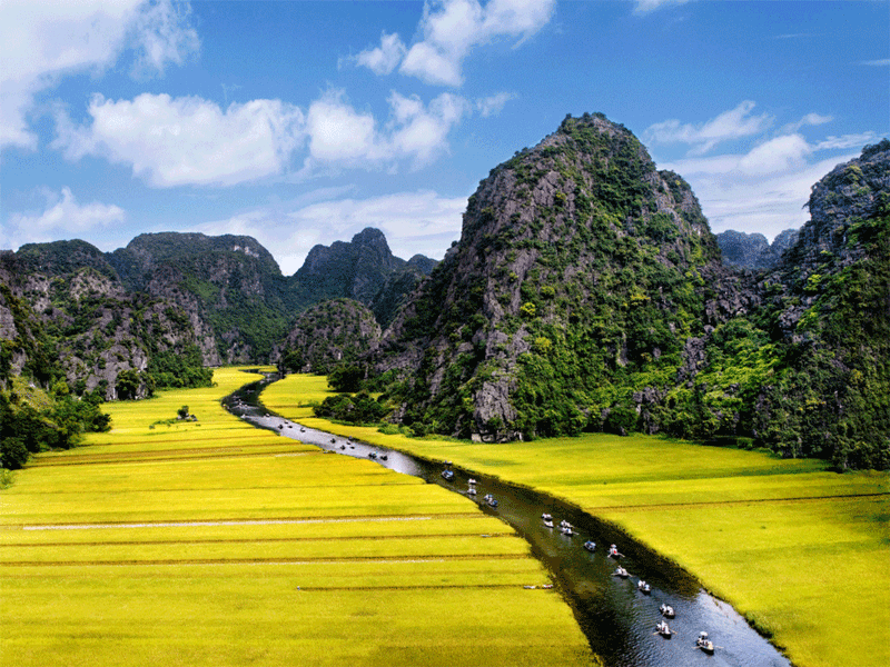 Beste Zeit, um Reisfelder in Vietnam zu besuchen