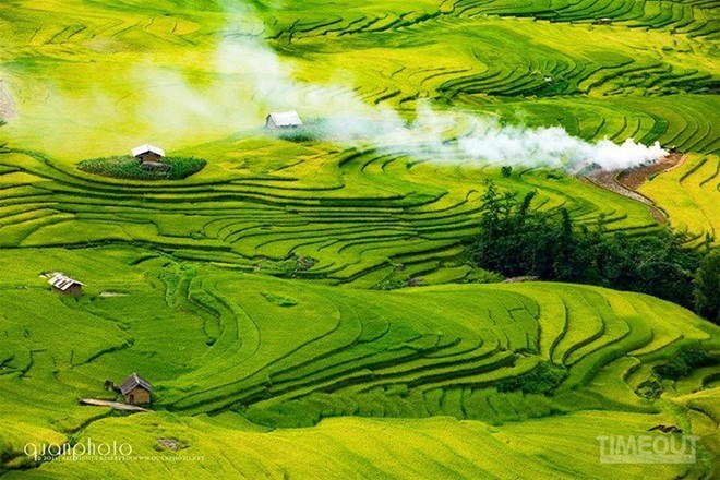 Vietnam-Urlaub, beste Reisezeit für Reisfelder in Vietnam