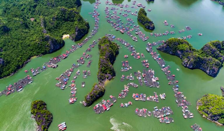 cai-beo-floating-village-2
