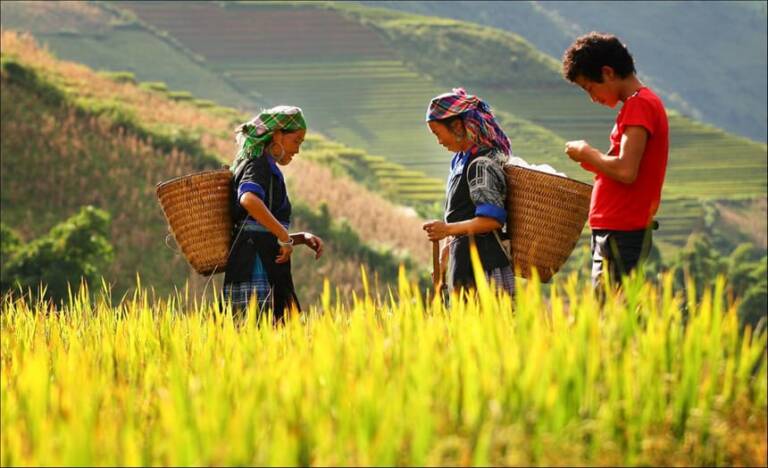 hoang-su-phi-thang-9-den-thang-10-1