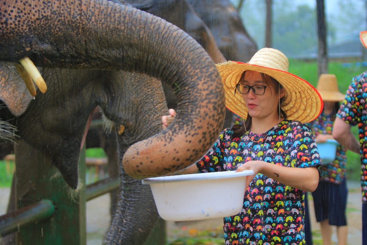 Lux Travel Team badet Elefanten in Chiang Mai, umweltfreundliche Reisen