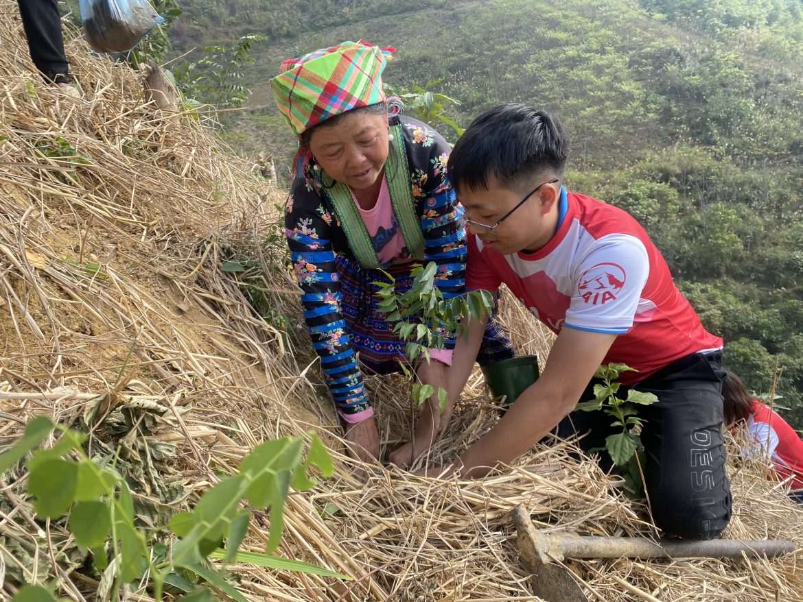 Gemeinsam Bäume pflanzen mit dem Green Seedling Project