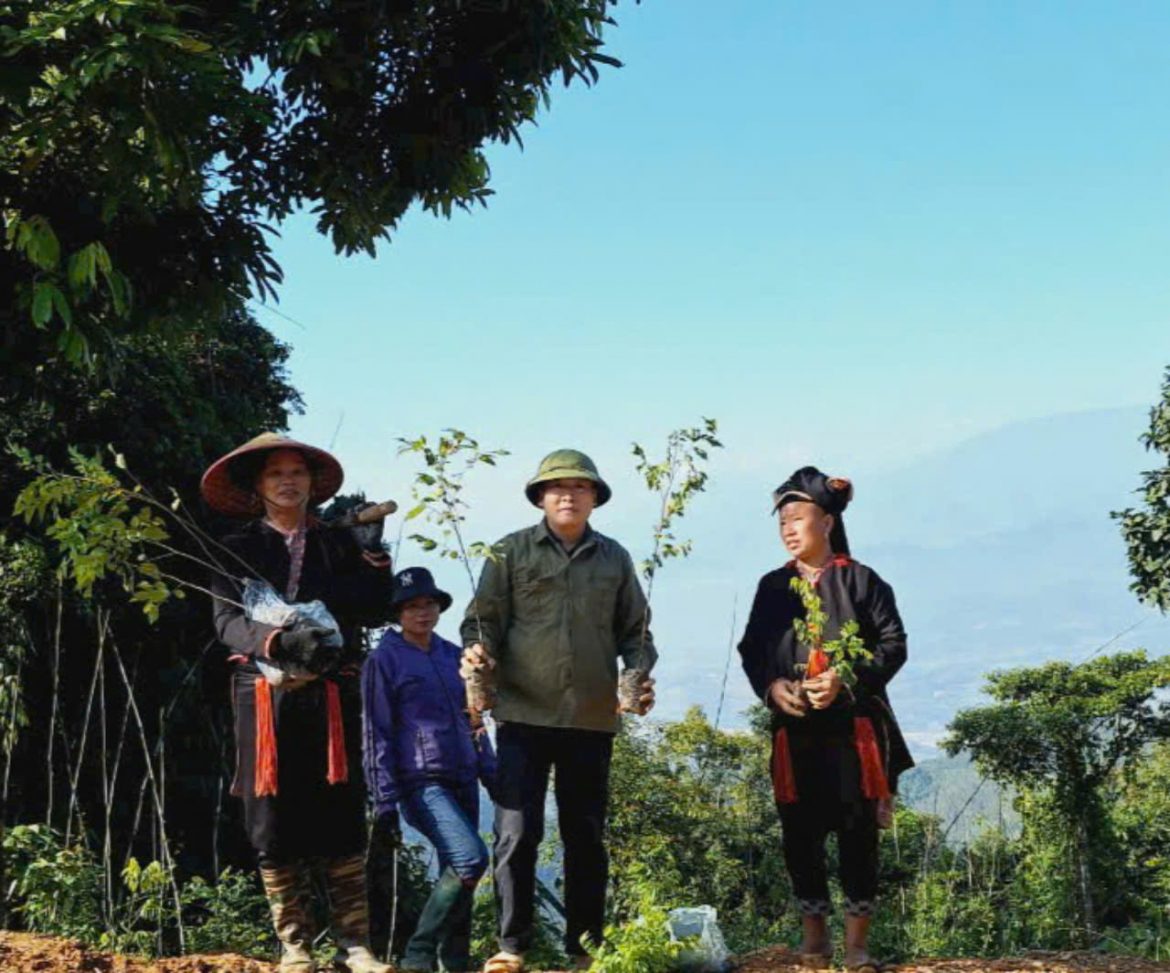 Baumpflanzung in Yen Bai