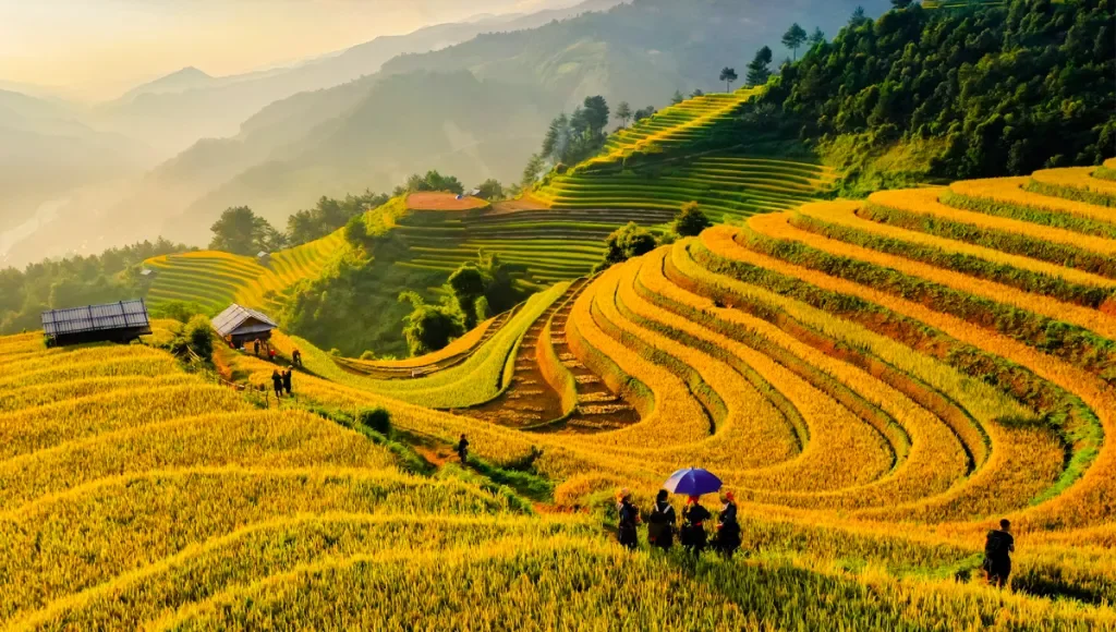 Vietnam Urlaub Kosten