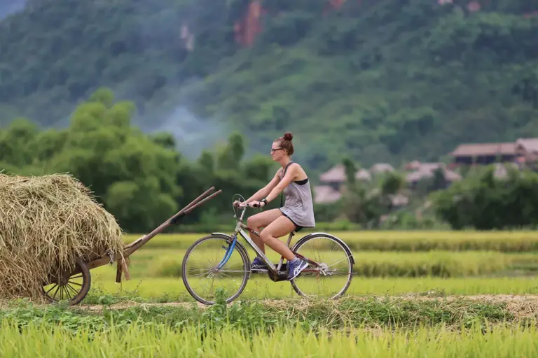 vietnam urlaub kosten - Vietnam Reise 2 Wochen