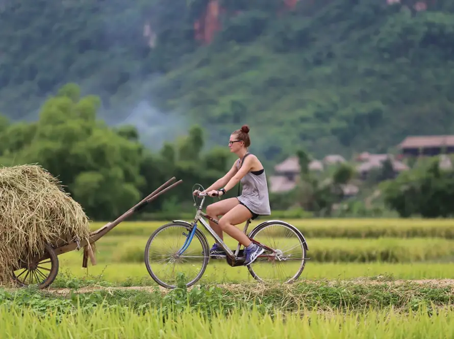 vietnam urlaub kosten - Vietnam Reise 2 Wochen
