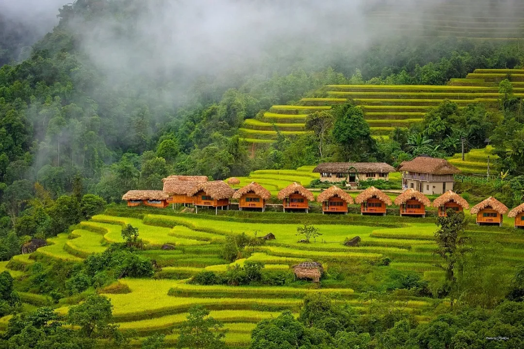 vietnam urlaub familie