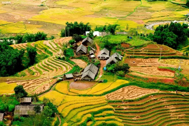 Vietnam Reise 2 Wochen