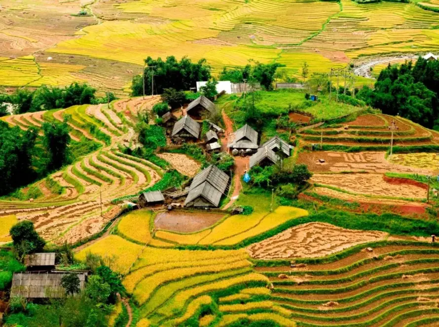 Vietnam Reise 2 Wochen