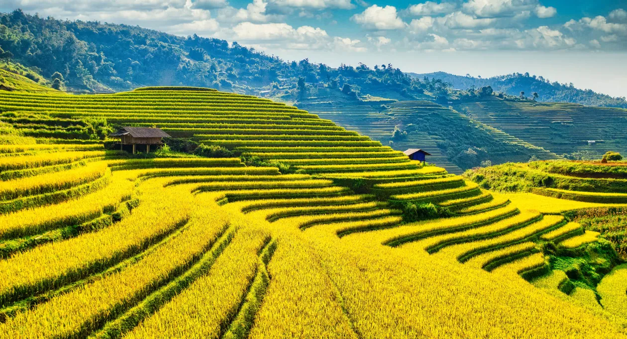 rundreise vietnam 14 tage