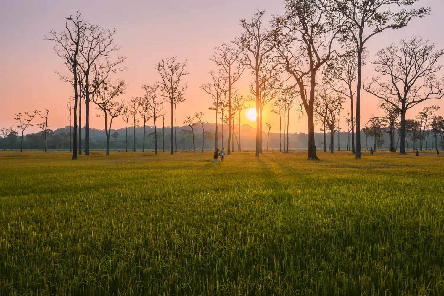 familienurlaub vietnam - katien safari