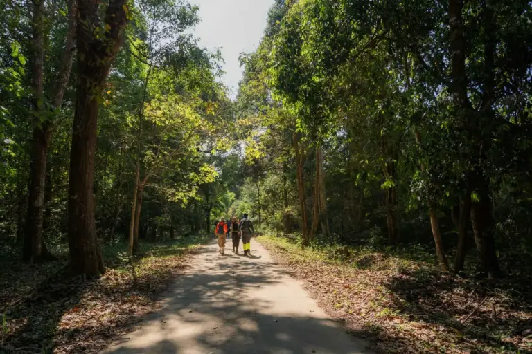 familienurlaub vietnam - katien safari