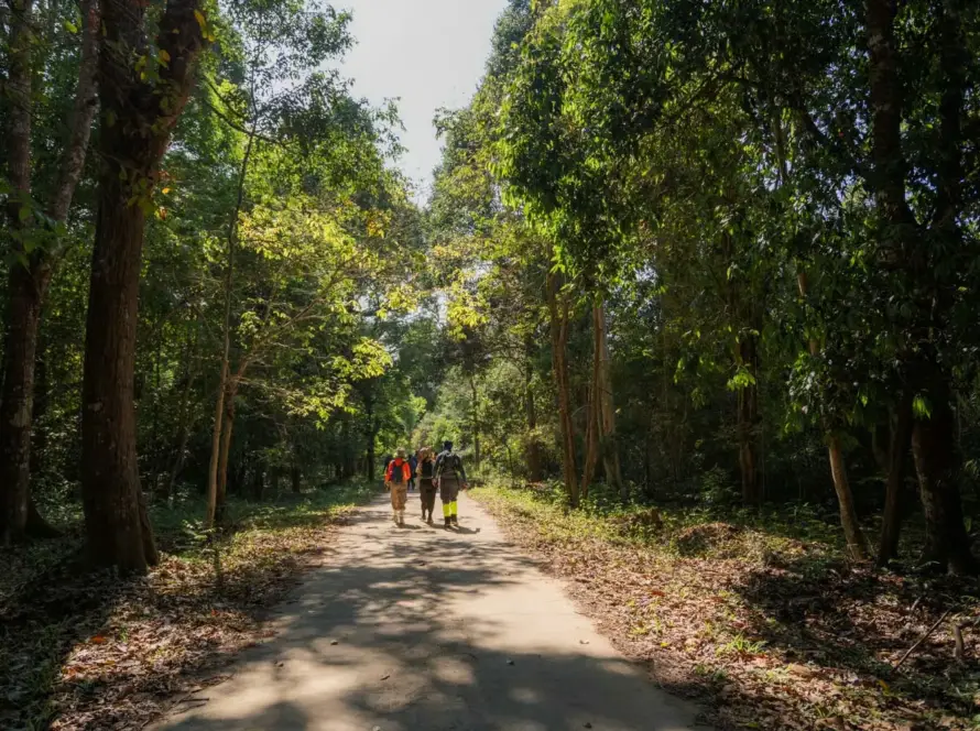 familienurlaub vietnam - katien safari