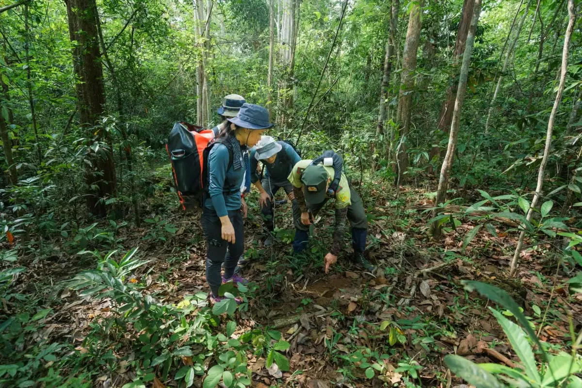 familienurlaub vietnam - katien safari