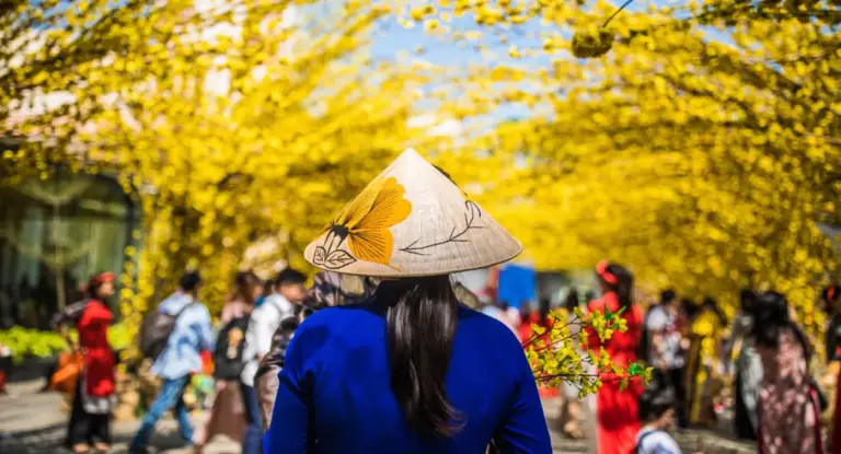 Vietnam Reise 2 Wochen Kosten
