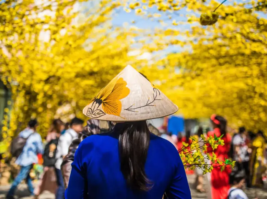 Vietnam Reise 2 Wochen Kosten