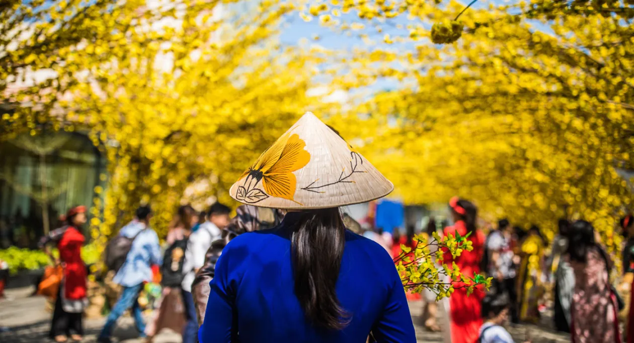 Vietnam Reise 2 Wochen Kosten