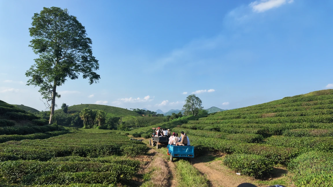 vietnam urlaub mit kindern long coc phu tho