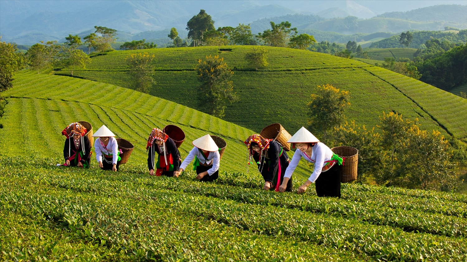 vietnam urlaub mit kindern long coc phu tho