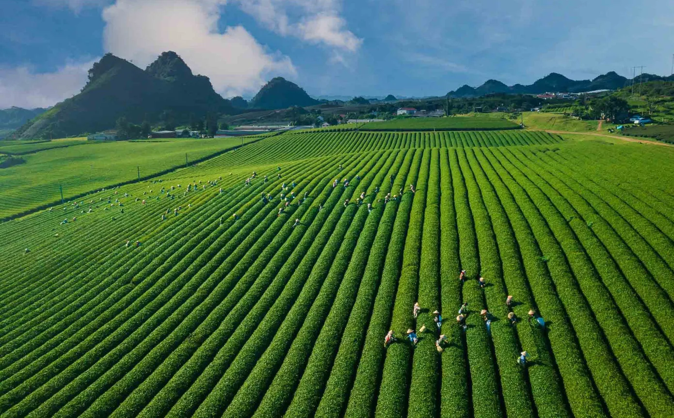 vietnam urlaub familie moc chau
