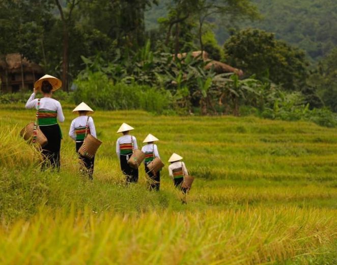 Discover the raw charm of Ha Giang through guided treks to Red Dao villages.