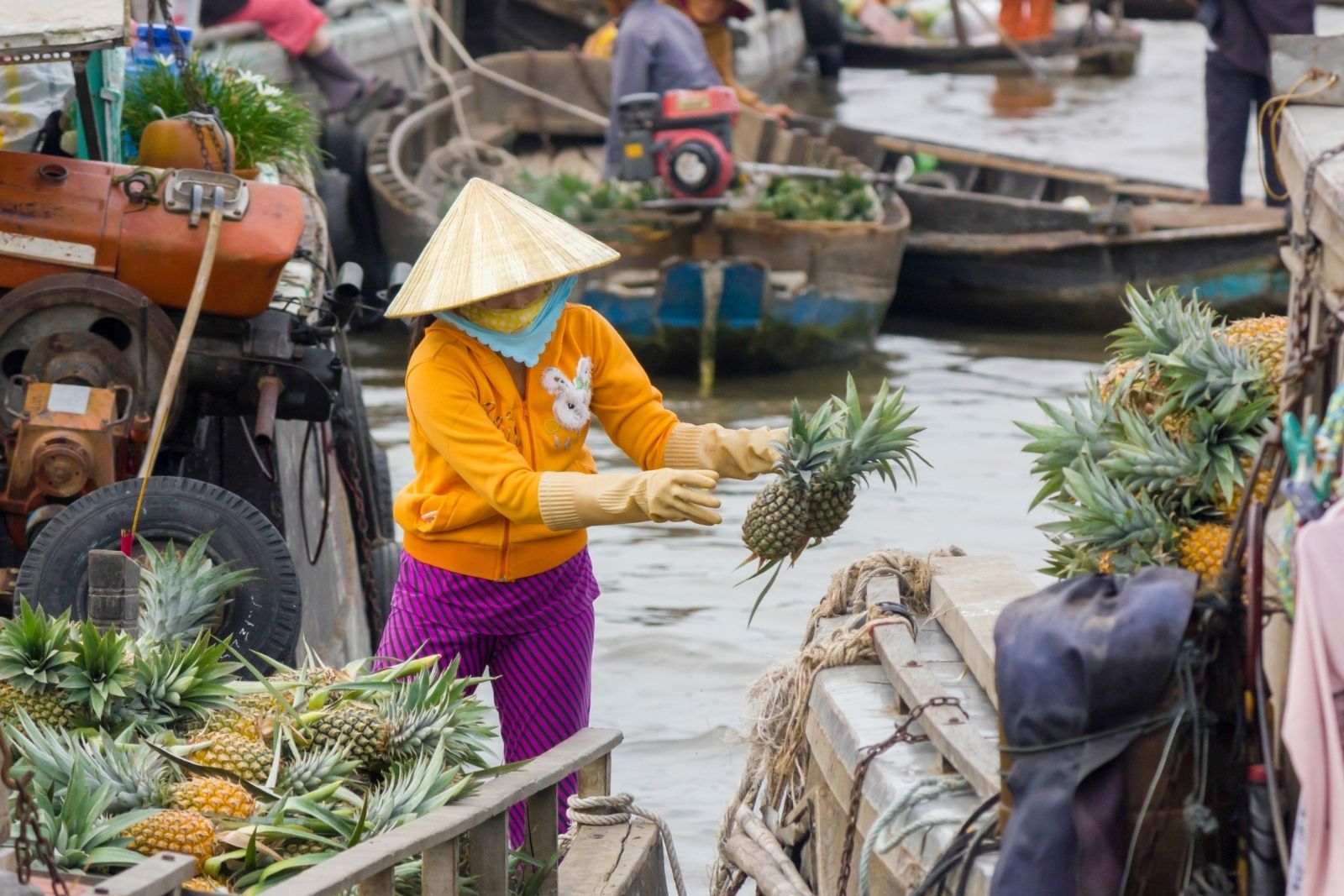 Abenteuerliche Rundreise Vietnam 15 Tage