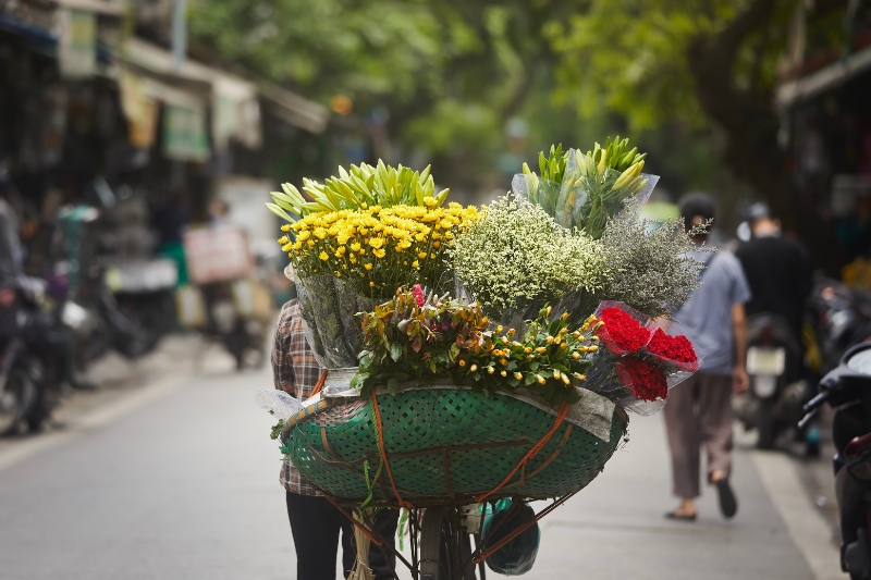 ARRIVAL - BALI - UBUD 