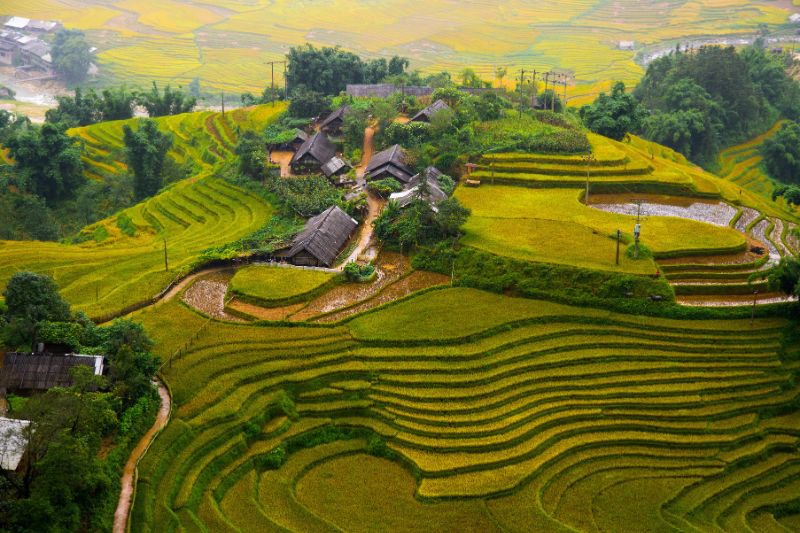 TIRTA GANGGA - SAMSARA LIVING MUSEUM - TENGANAN VILLAGE [B/L] 