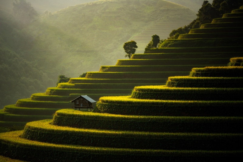 SOUTH BALI [B]