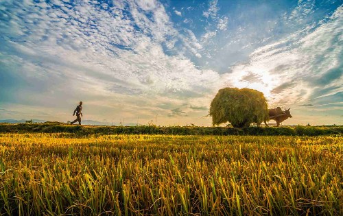 Vietnam Kamdboscha Besichtigungstour: Die beste Auswahl für Ihren Urlaub