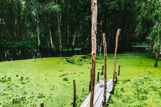 Eine authentische Erfahrung im Mekong Lodge 2 tage