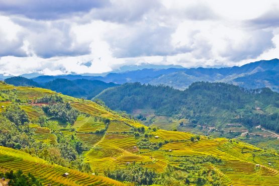 Mu Cang Chai Entdecken 4 Tage