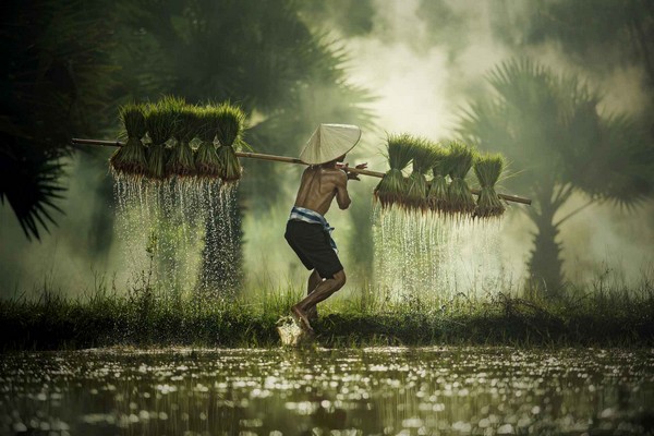 Kultur und Traditionsreiseise durch Vietnam 11 Tage