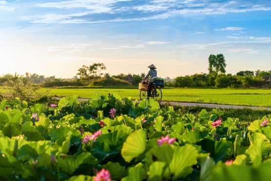 Sommerferien In Vietnam 12 Tage