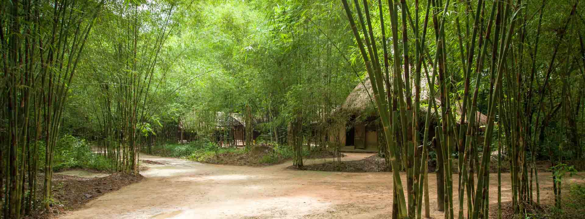 Halbtägige Ausflug Zu Den Cu Chi Tunnels